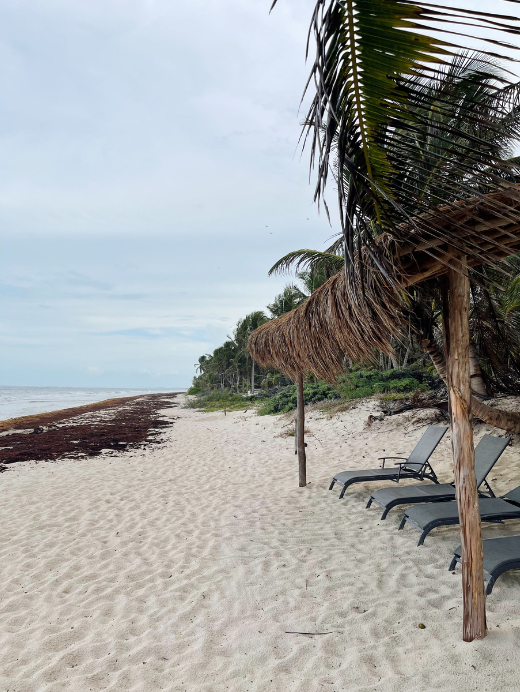 Olas Tulum Hotel, Mexico