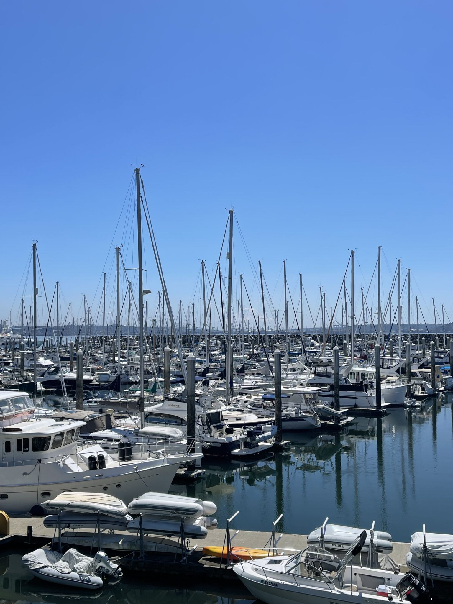 Seattle, Washington marina